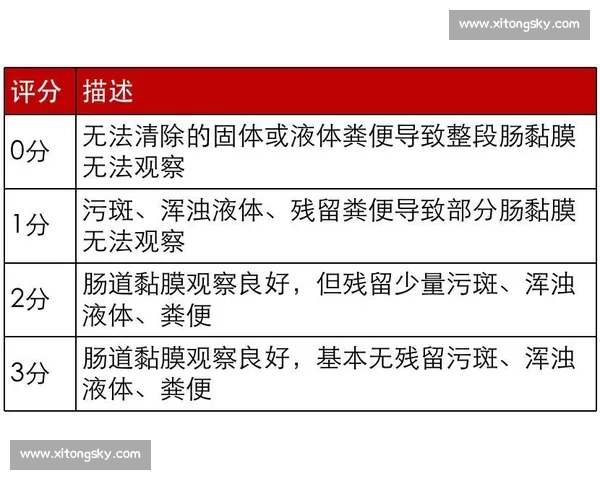 电竞赛事前的全面准备指南 如何提升选手状态和团队协作 电竞赛事前的全面准备指南 如何提升选手状态和团队协作